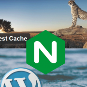 Wordpress Nginx WP Fastest Cache Configuration