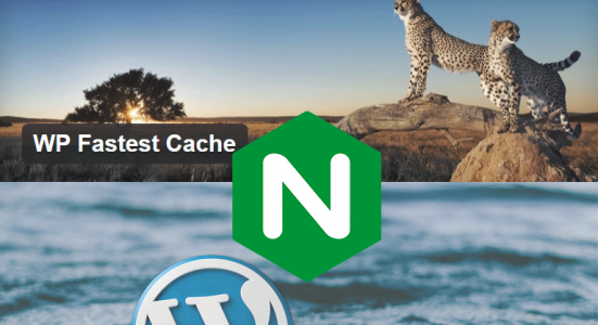 “WP Fastest Cache” Configuration for Nginx