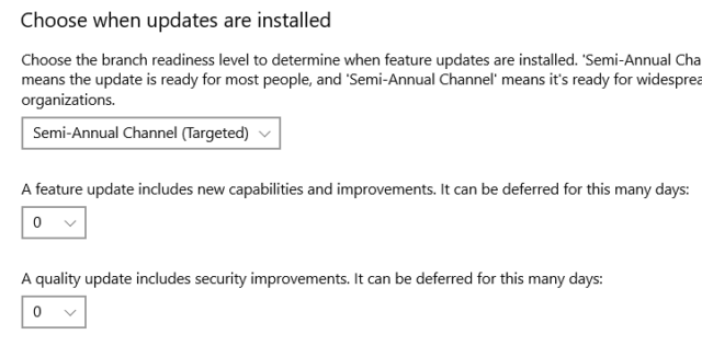 disable windows 10 update temporarily